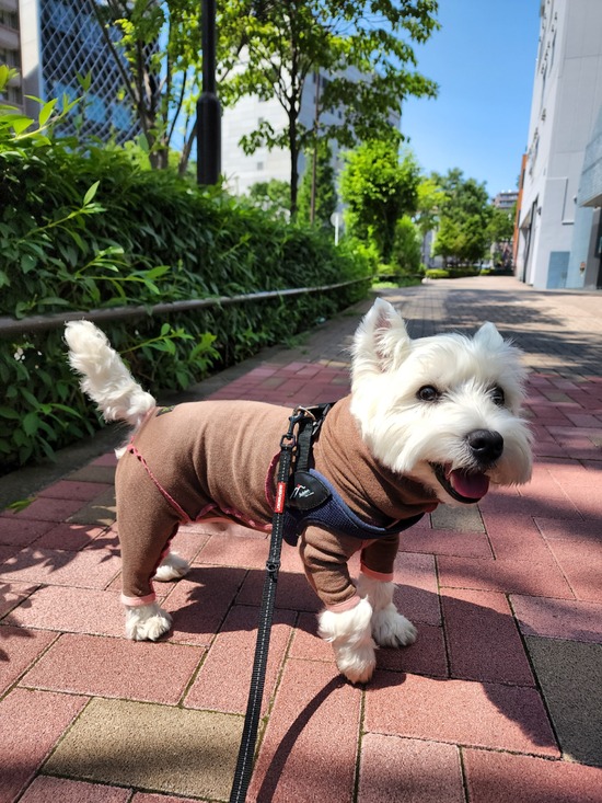 【ご質問のお返事】ヘビロテの“ロンパース”