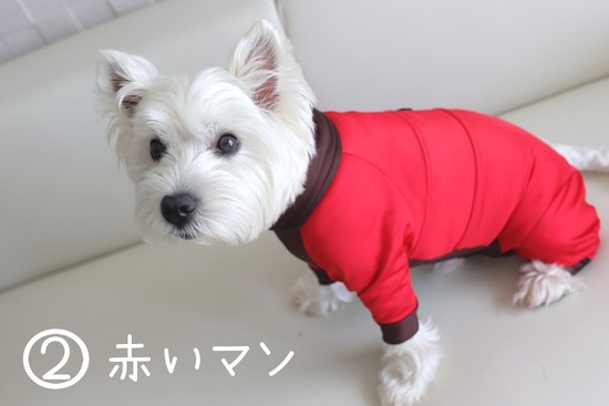 22-06-30-20-53-24-798_deco