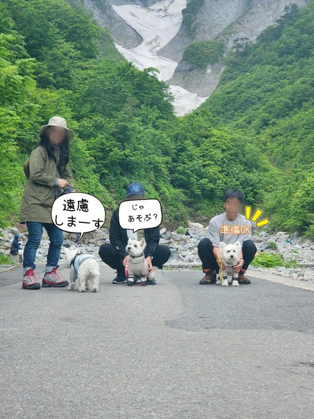 24-05-28-09-41-07-499_deco