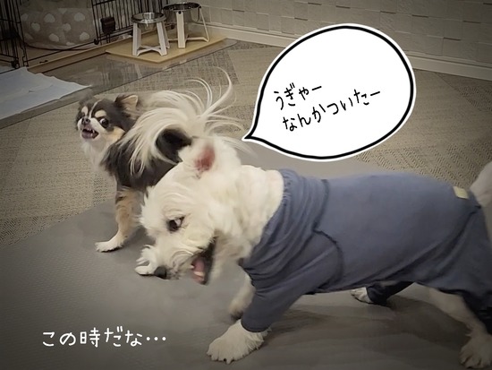 25-11-04-09-44-54-827_deco