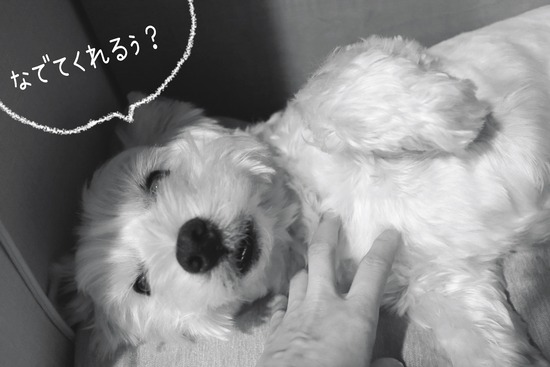 24-12-14-06-20-04-567_deco