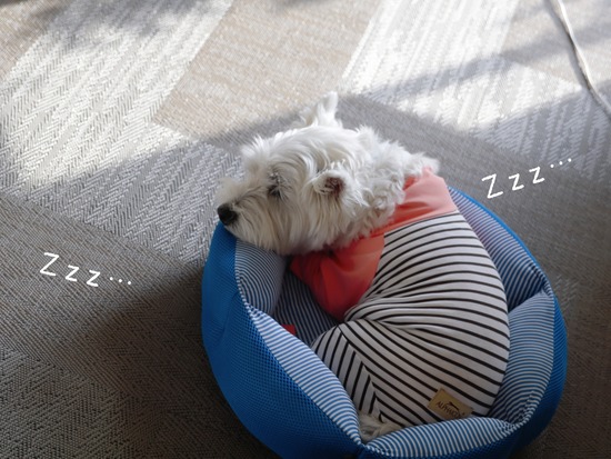 21-10-12-07-21-21-955_deco