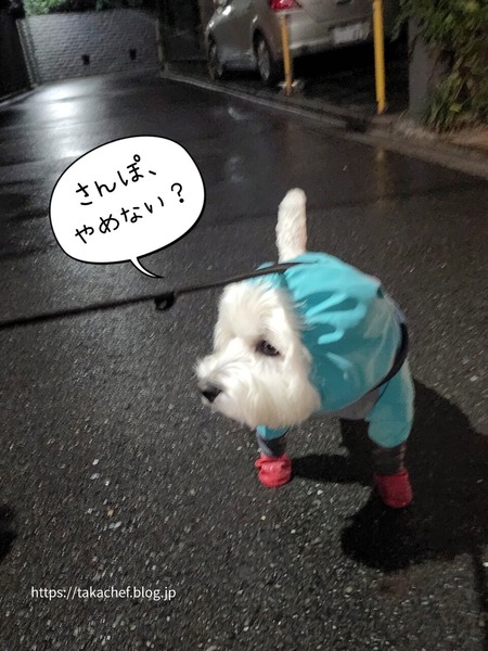 22-10-13-18-55-05-139_deco