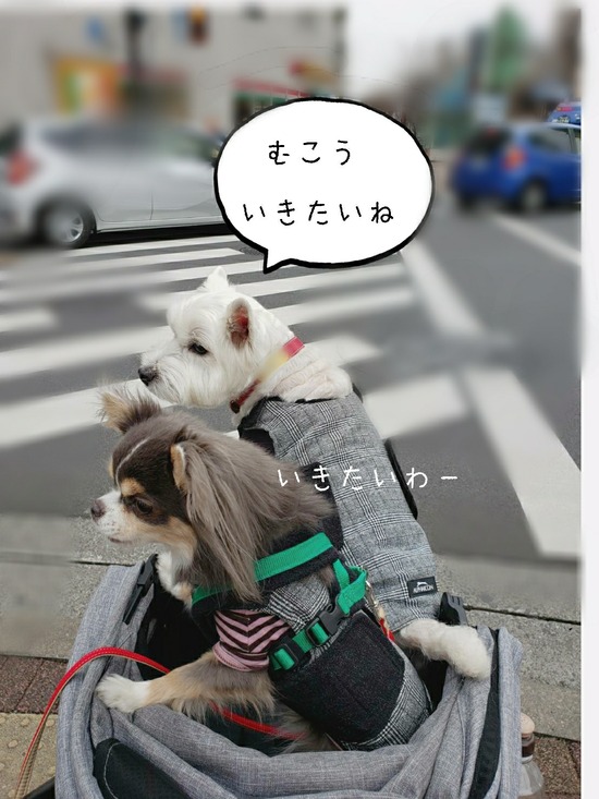 Point Blur_20210129_084049