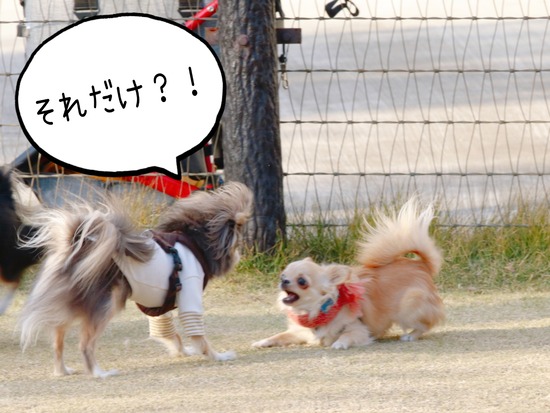 21-12-02-14-01-50-668_deco