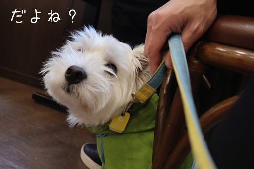 20-01-31-09-59-31-897_deco