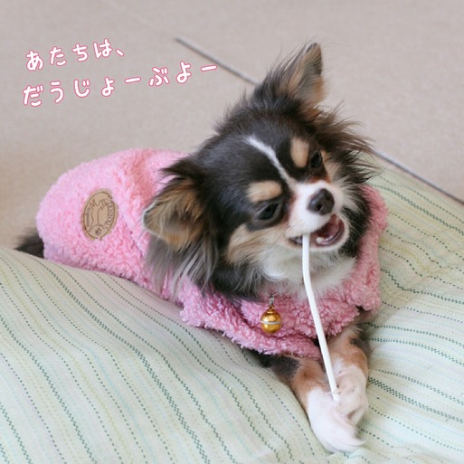 保険にはいるぞ～～～