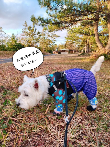 25-11-30-21-49-08-757_deco