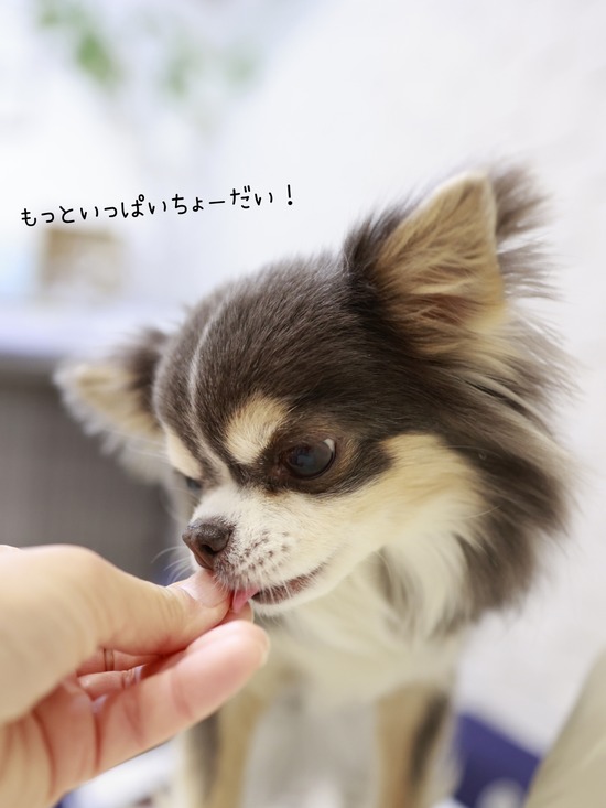 26-01-14-07-13-41-408_deco