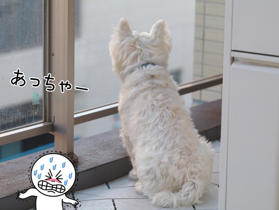 21-10-24-10-40-26-322_deco