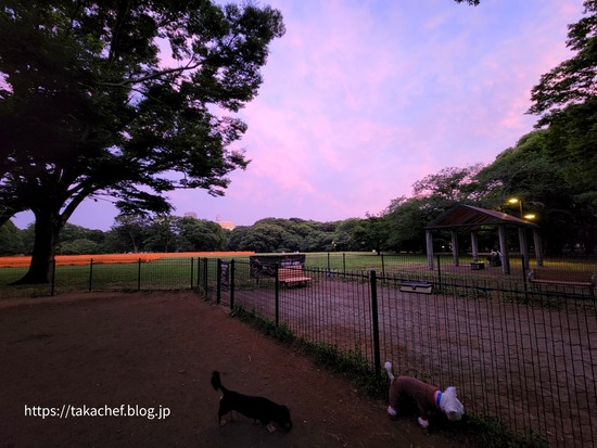 昨日、天気予報、はずれたよね？予定狂った１日