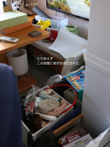 25-12-26-11-42-35-429_deco