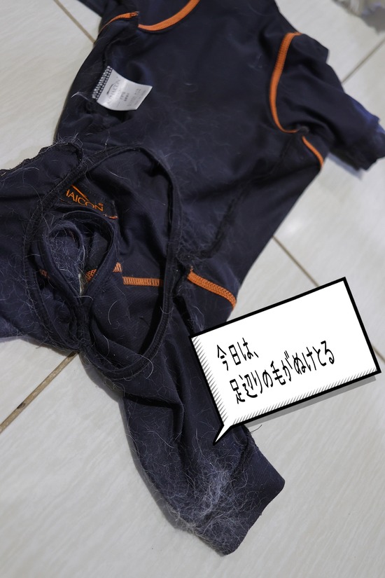 25-12-04-14-08-28-028_deco