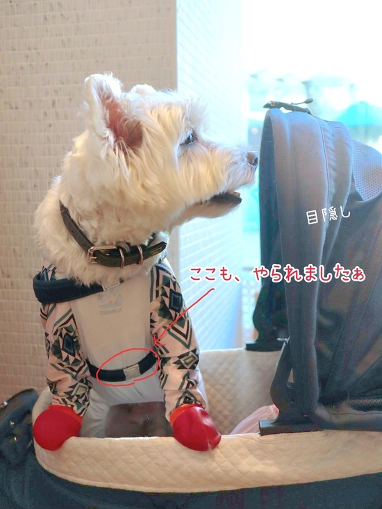 24-08-31-07-19-08-880_deco