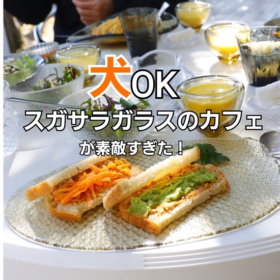 【千葉の旅】あの素敵ガラス工房でワンコと一緒にランチ