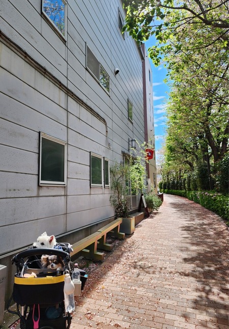 23-04-09-00-48-59-054_deco