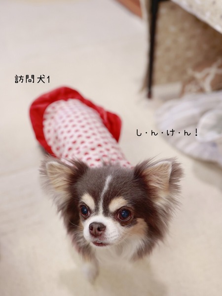 26-01-07-12-09-16-211_deco