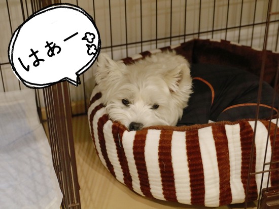 21-10-24-17-14-32-568_deco