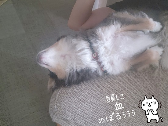 24-06-07-07-13-09-039_deco