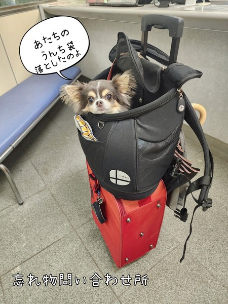 24-07-24-20-16-58-153_deco