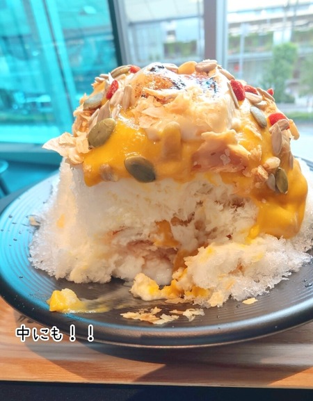 24-09-10-11-14-04-459_deco