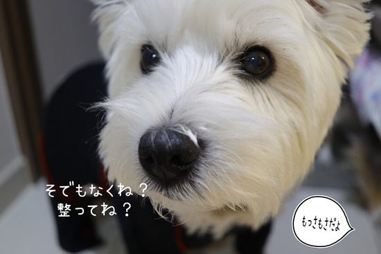 25-12-27-11-25-59-232_deco