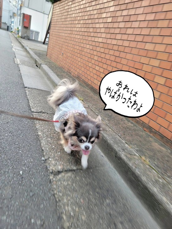 24-07-19-18-23-37-128_deco