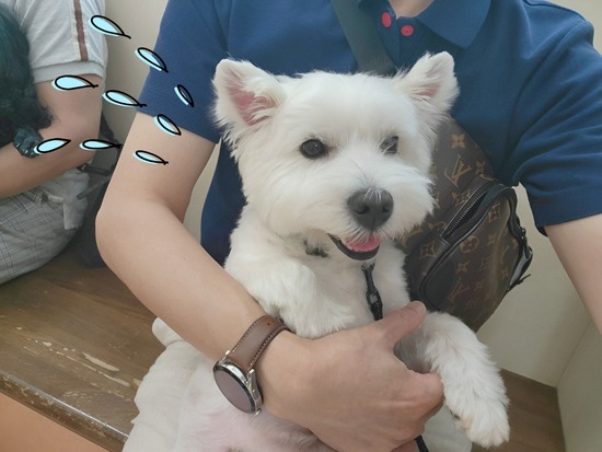 23-06-27-11-39-08-868_deco