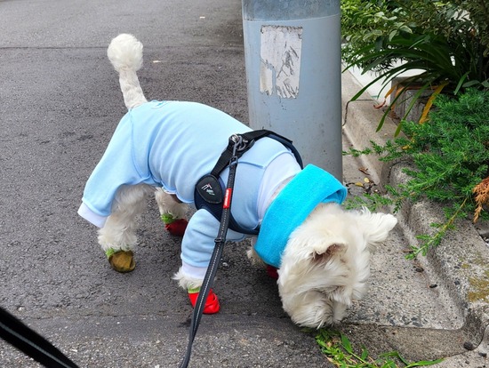 22-06-24-07-10-50-042_deco