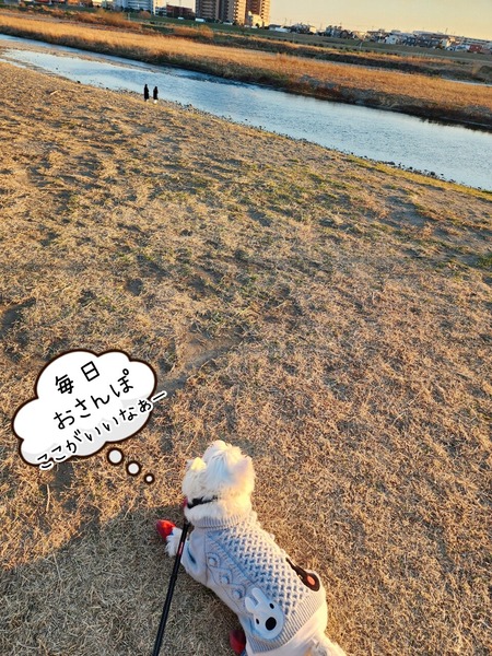 23-03-02-11-27-49-498_deco