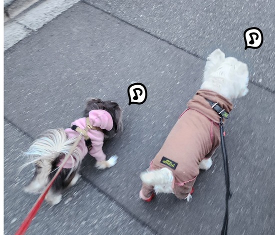 24-03-14-18-21-40-966_deco