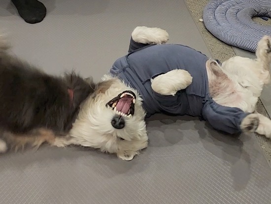 25-11-04-09-46-00-704_deco