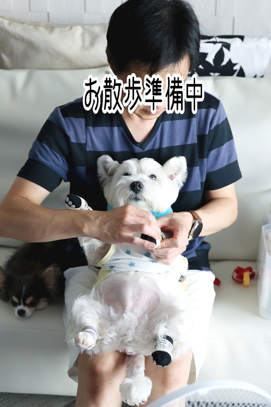 22-06-25-07-13-10-741_deco