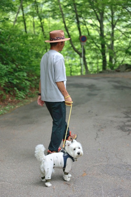 24-06-06-20-26-59-098_deco