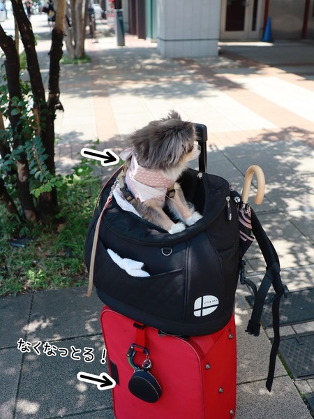 24-07-24-20-14-09-847_deco