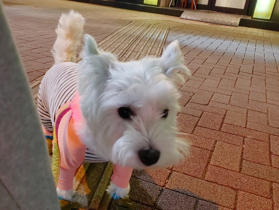 21-10-24-10-37-50-173_deco