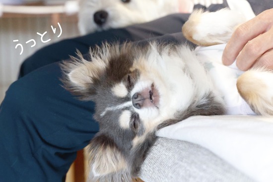 24-07-26-08-59-30-872_deco