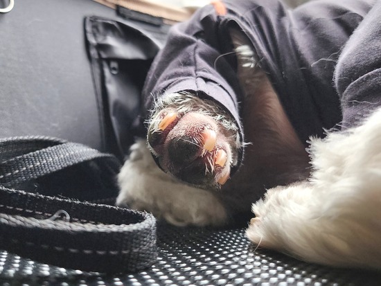 23-05-14-15-31-56-584_deco