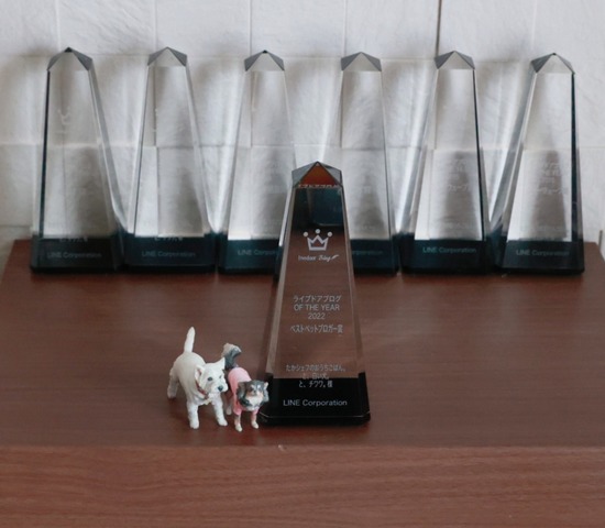 22-12-13-14-07-54-300_deco