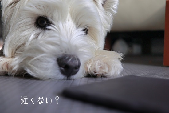 25-12-23-10-19-46-363_deco