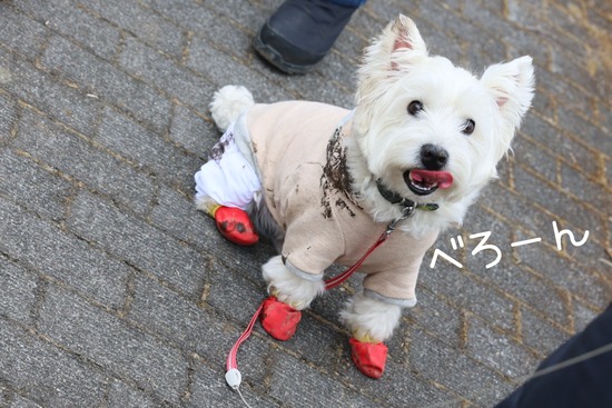 23-02-24-13-00-48-474_deco