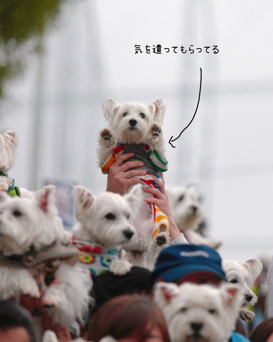 25-11-04-15-47-52-355_deco