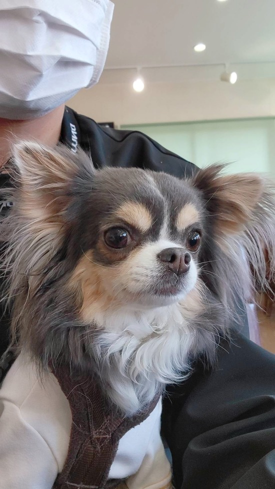 22-03-24-14-31-12-429_deco