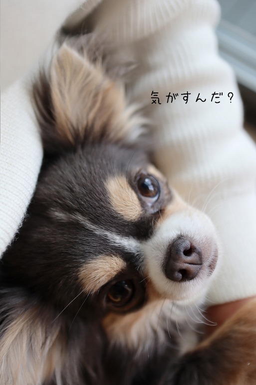 【歯石除去】グラグラの歯があった・・・。