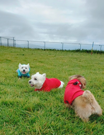 21-10-26-08-22-21-855_deco