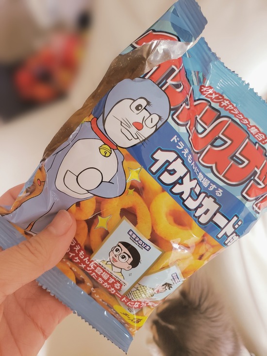 チワワ こっそりおやつのつもりが たかシェフのおうちごはん と 白い犬 と チワワ Powered By ライブドアブログ