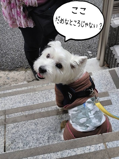 22-06-14-19-28-02-874_deco