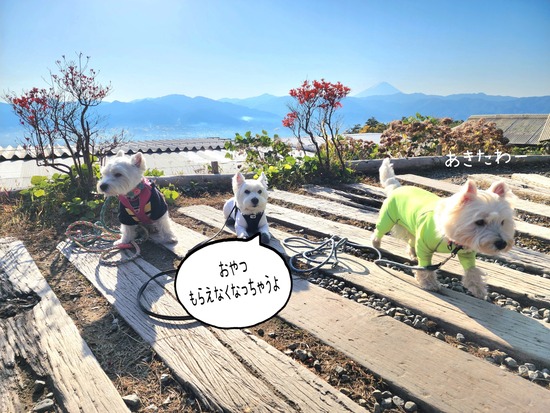 25-11-08-09-34-03-870_deco