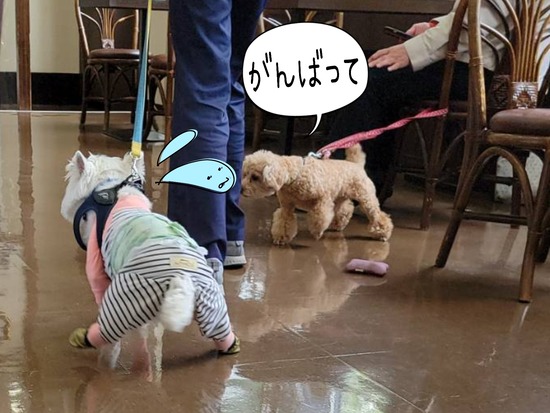 22-04-23-09-22-14-857_deco