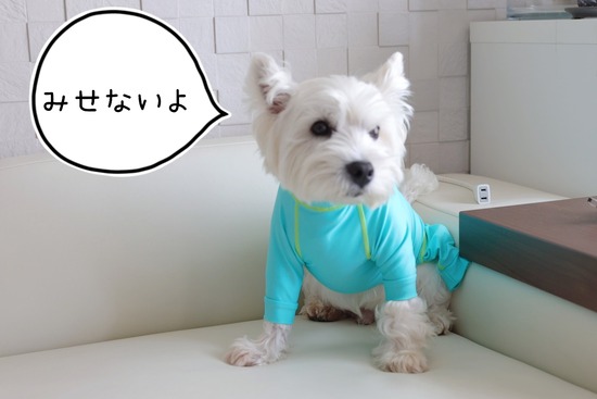 22-06-30-21-44-02-948_deco